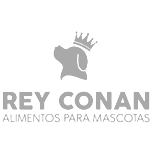Rey Conan